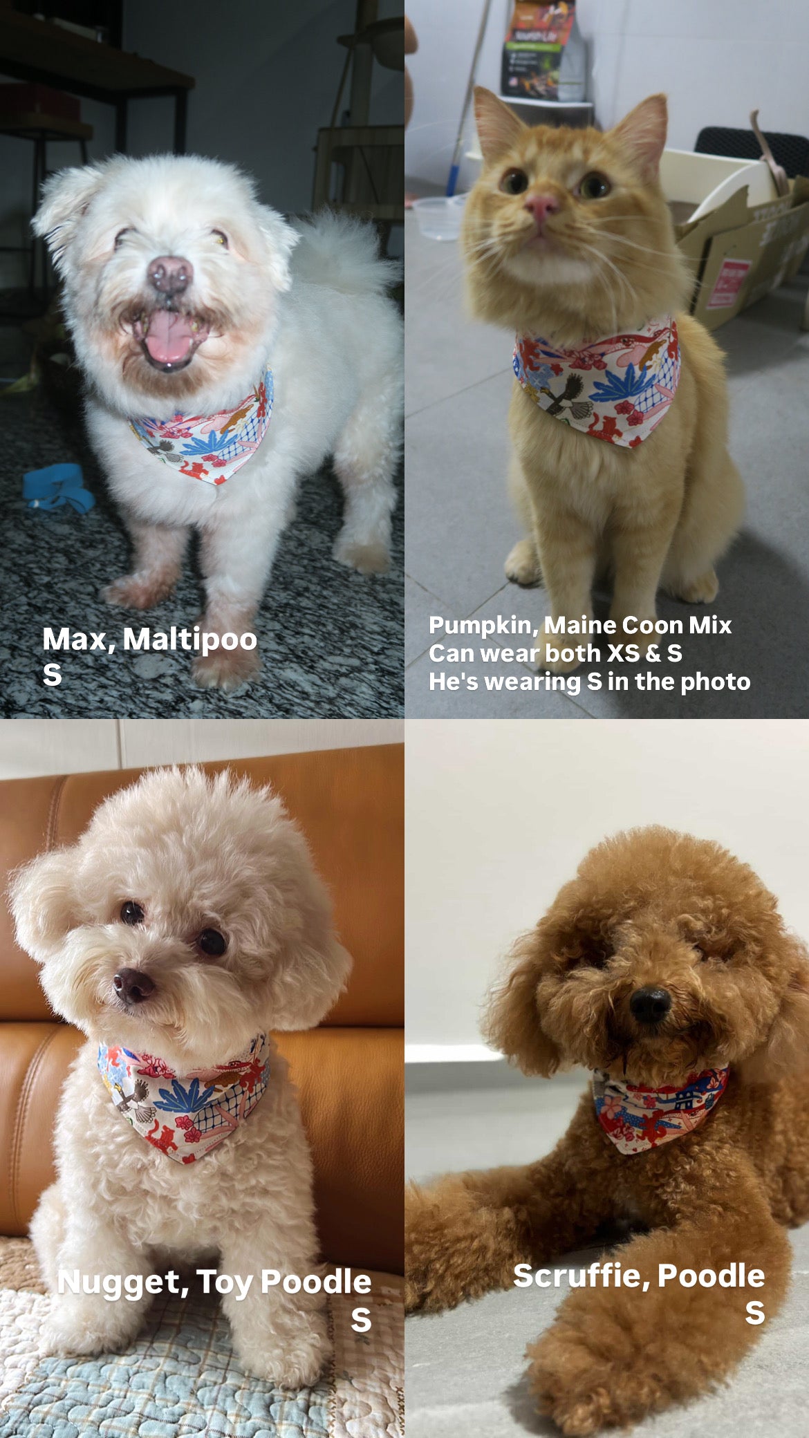 Reversible Pet Bandana - Batik Kampung