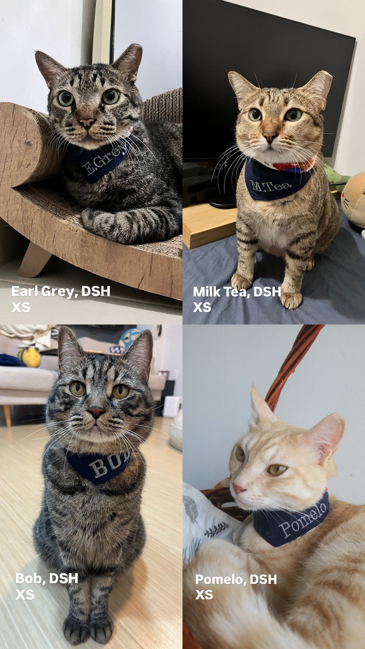 Reversible Pet Bandana - Batik Kampung