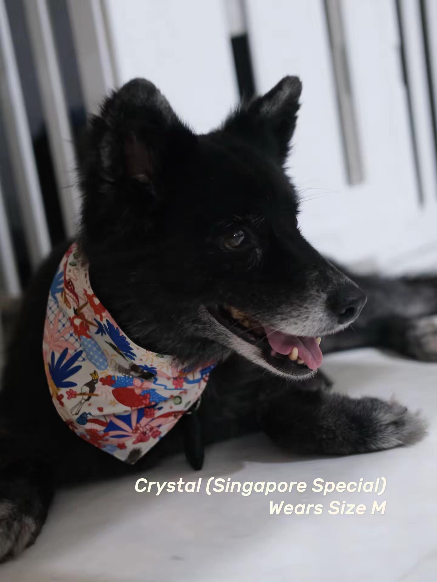 Reversible Pet Bandana - Batik Kampung