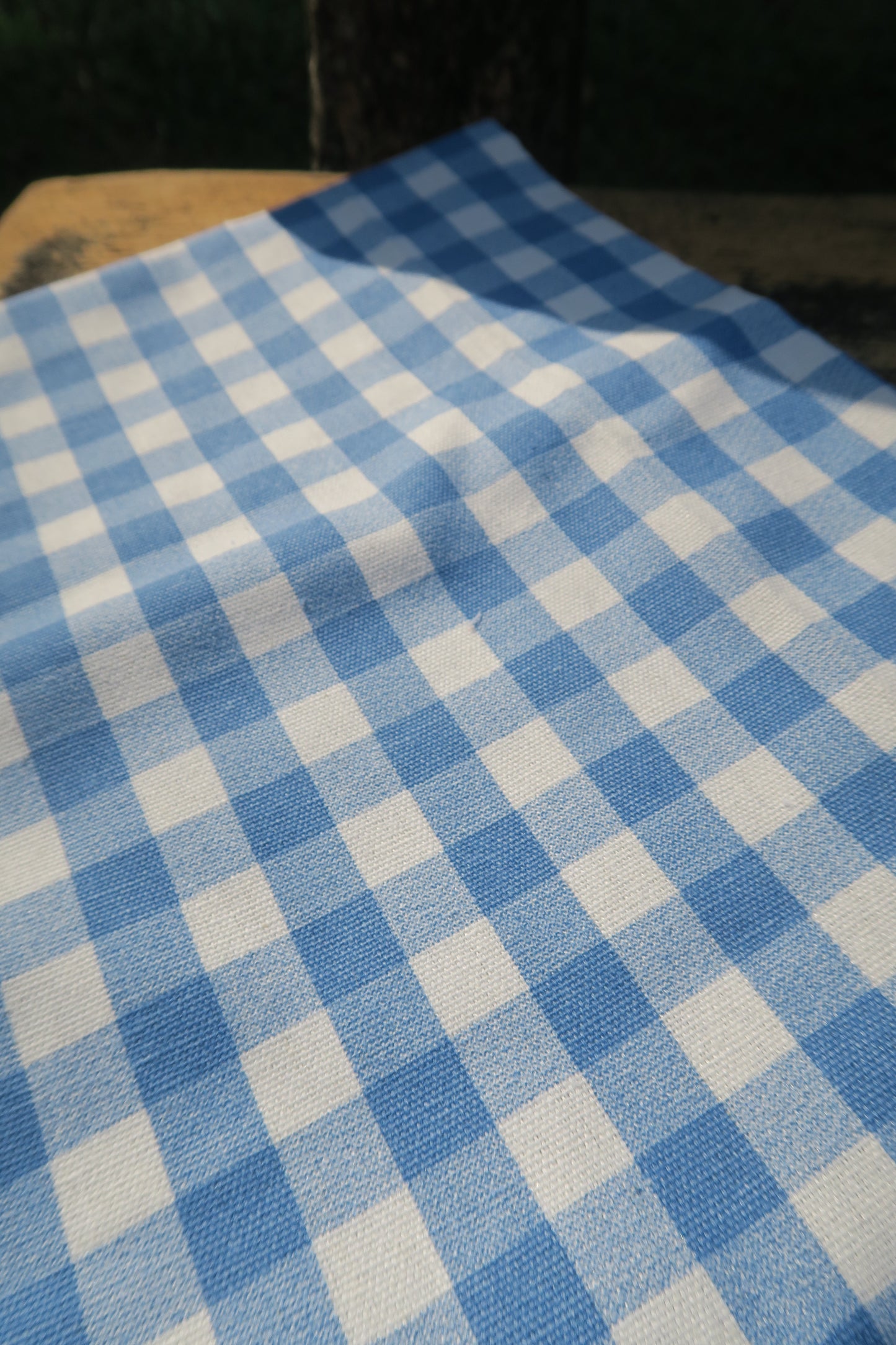 [FABRIC] Blue Gingham (Medium)