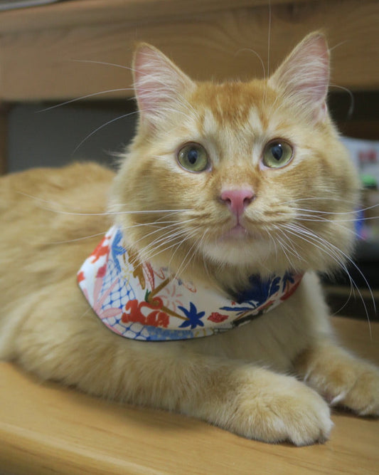 Reversible Pet Bandana - Batik Kampung