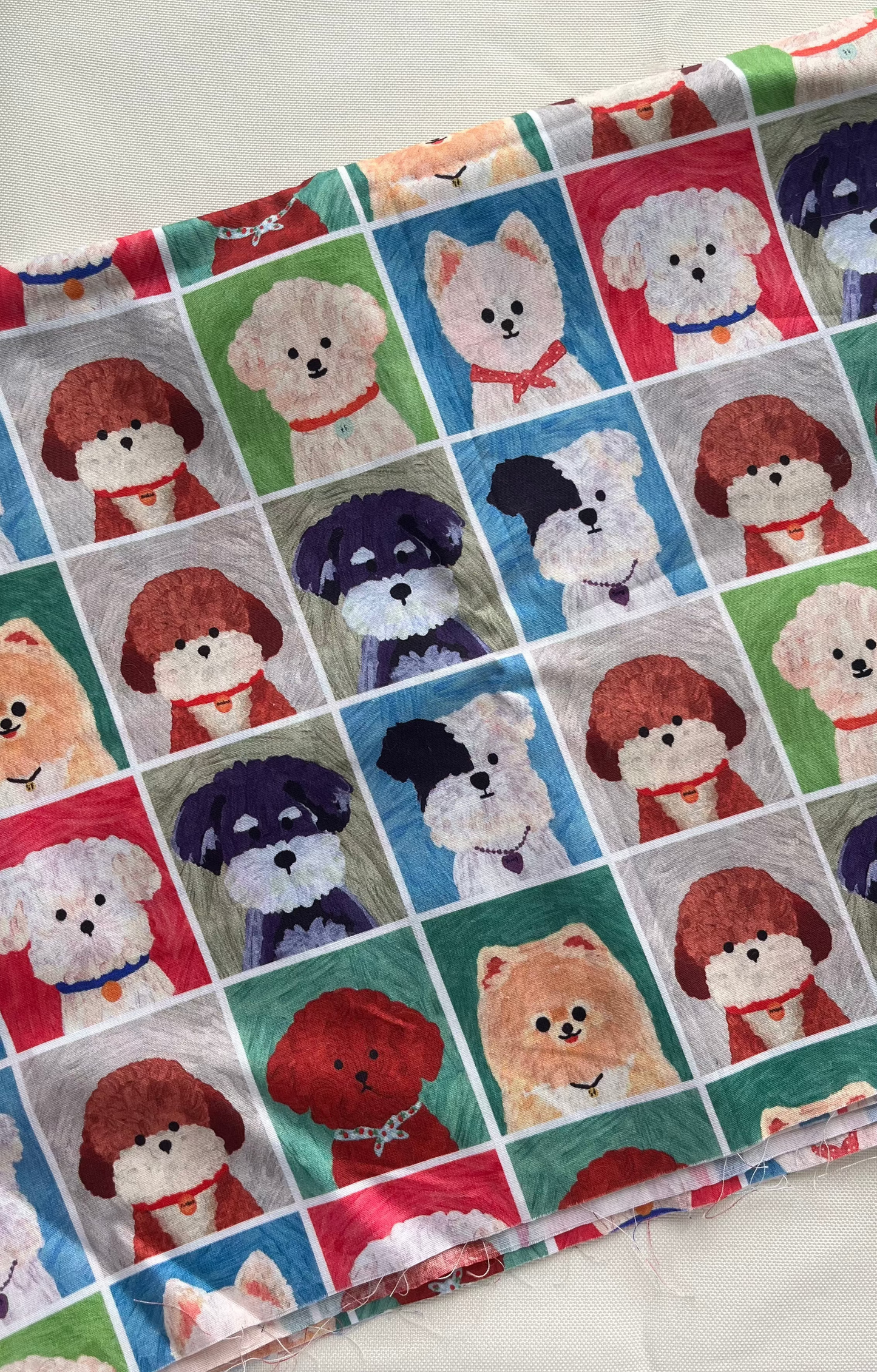 [FABRIC] Doggie Class Portrait